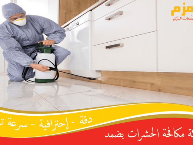 شركة مكافحة الحشرات بضمد