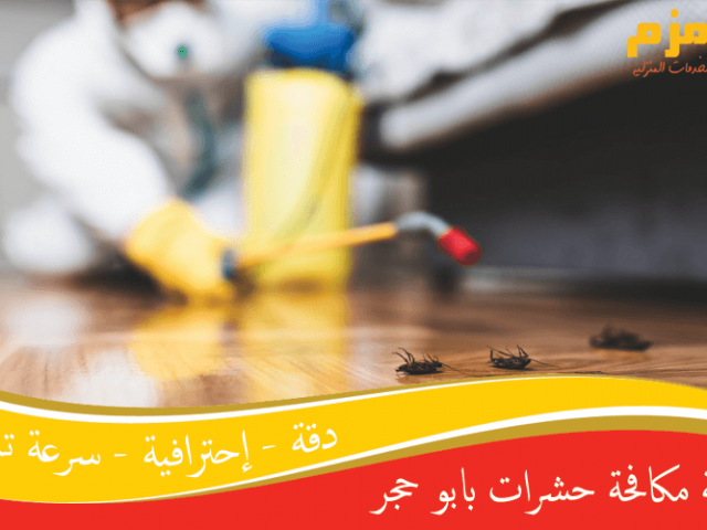 شركة مكافحة حشرات بابو حجر