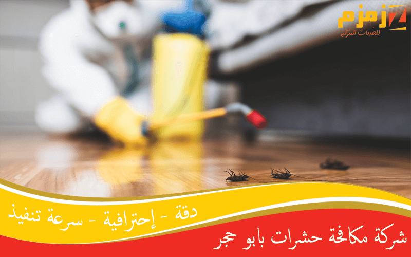 شركة مكافحة حشرات بابو حجر