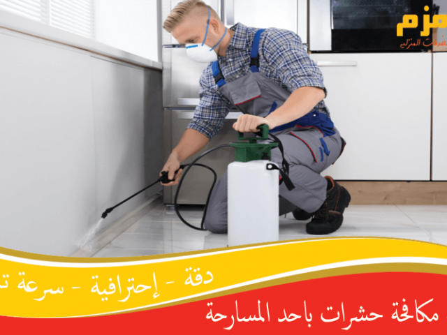 شركة مكافحة حشرات باحد المسارحة