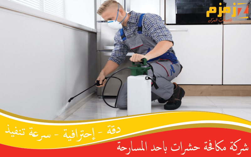 شركة مكافحة حشرات باحد المسارحة