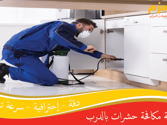 شركة مكافحة حشرات بالدرب