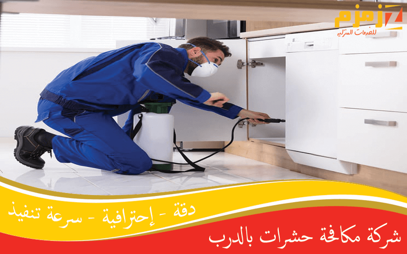 شركة مكافحة حشرات بالدرب