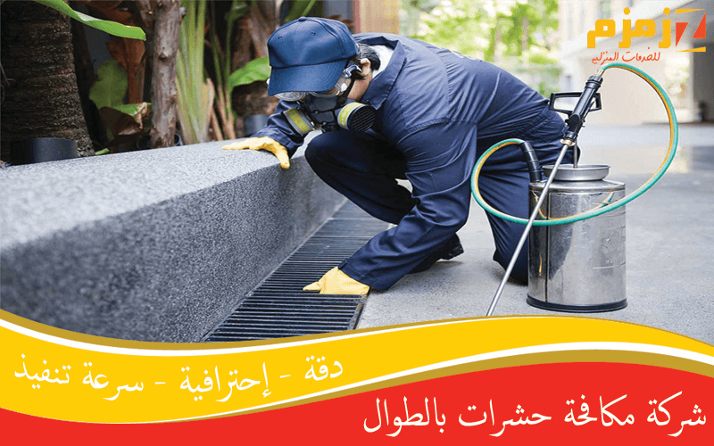شركة مكافحة حشرات بالطوال