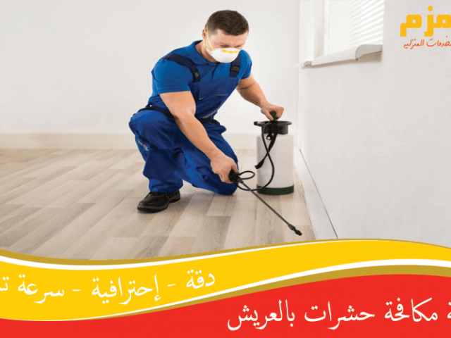 شركة مكافحة حشرات بالعريش