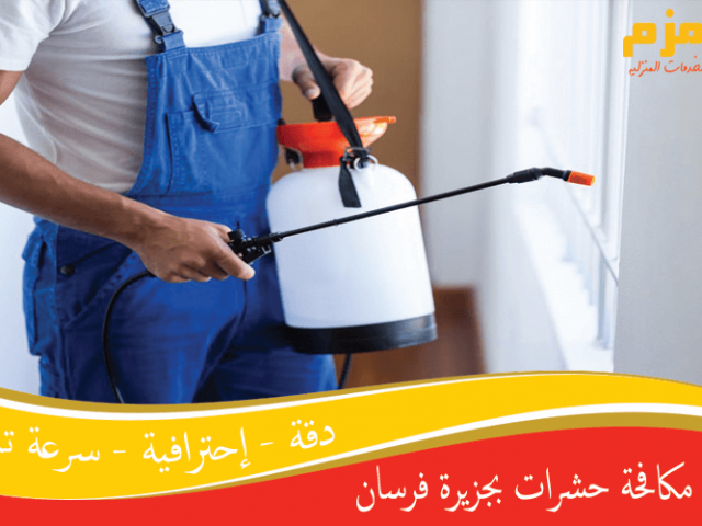 شركة مكافحة حشرات بجزيرة فرسان