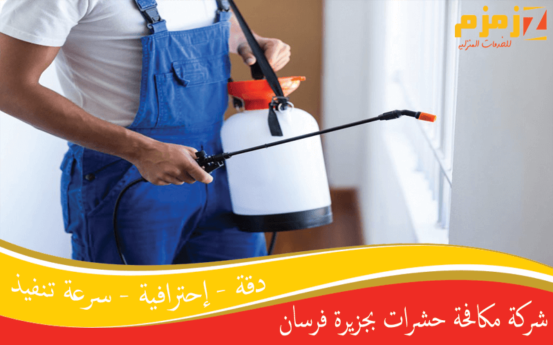 شركة مكافحة حشرات بجزيرة فرسان