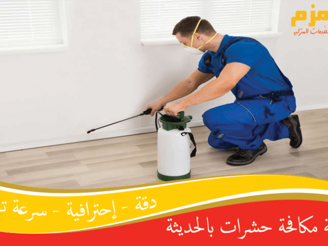 شركة مكافحة حشرات بالحديثة