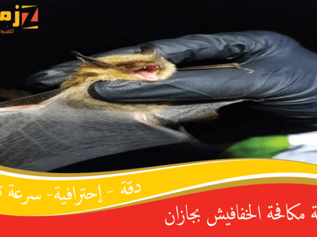 شركة مكافحة الخفافيش بجازان