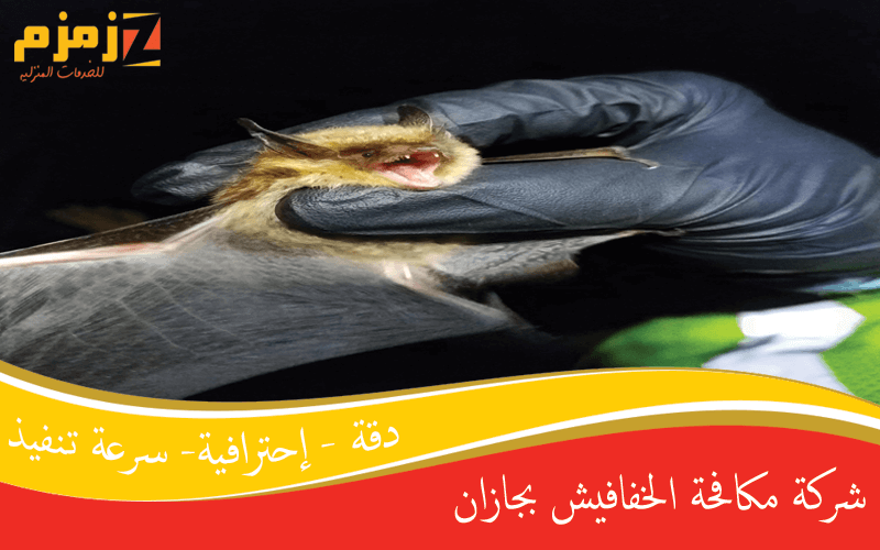 شركة مكافحة الخفافيش بجازان
