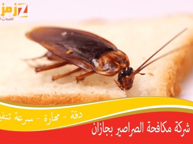 شركة مكافحة الصراصير بجازان