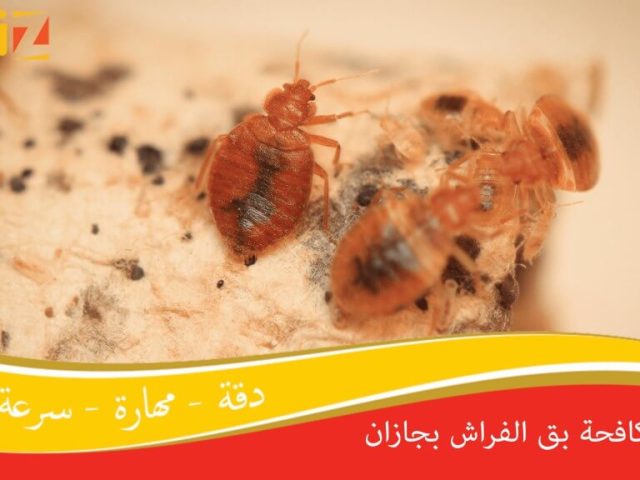 شركة مكافحة بق الفراش بجازان