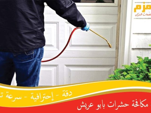 شركة مكافحة حشرات بابو عريش