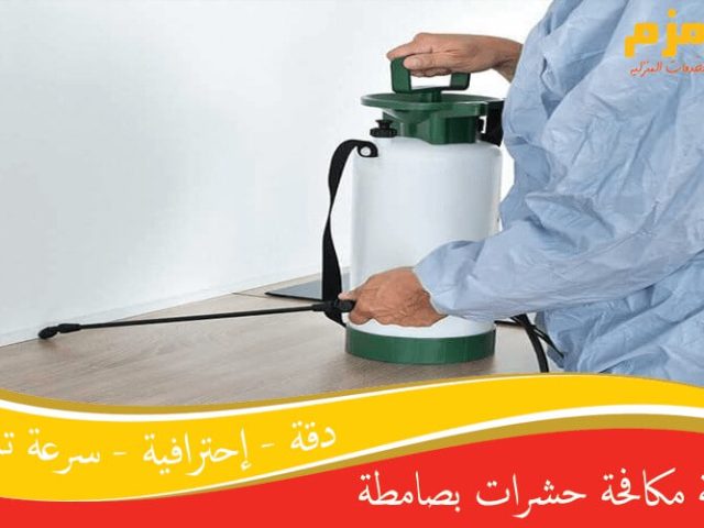 شركة مكافحة حشرات بصامطة