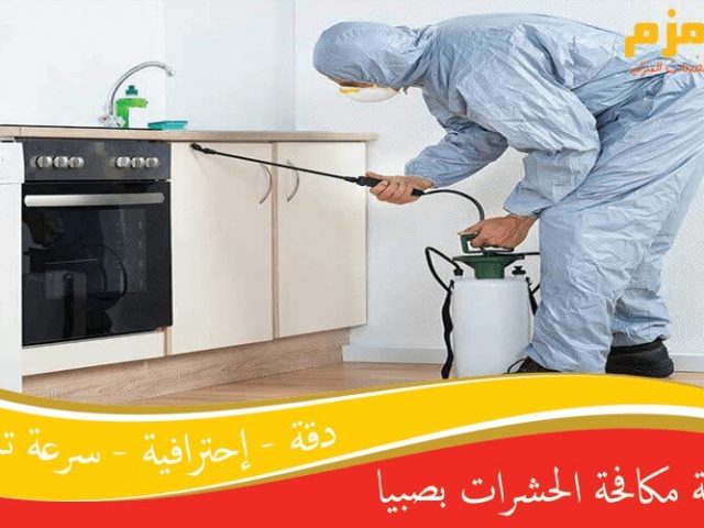 شركة مكافحة حشرات بصبيا