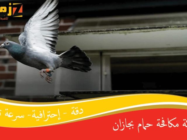 شركة مكافحة حمام بجازان