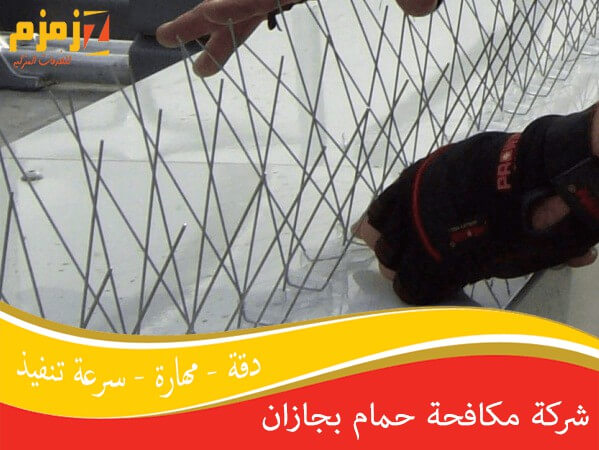 شركة مكافحة حمام بجازان