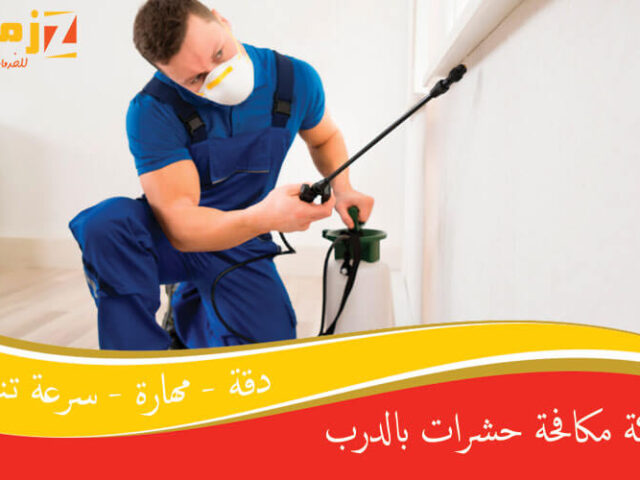 شركة مكافحة حشرات بالدرب