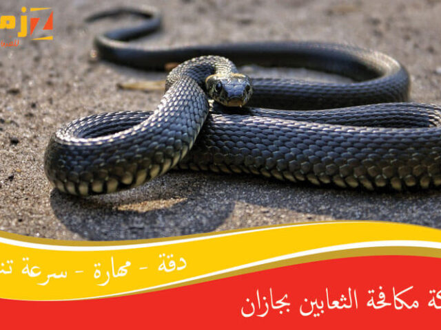 شركة مكافحة الثعابين بجازان