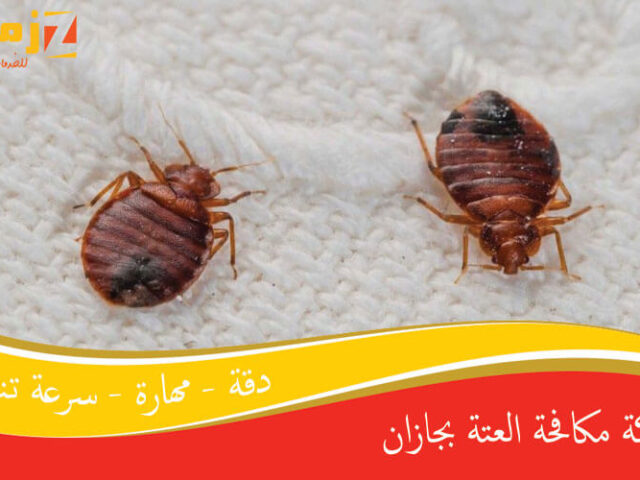 شركة مكافحة العتة بجازان