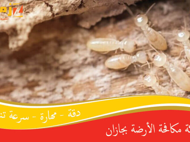 شركة مكافحة الأرضة بجازان