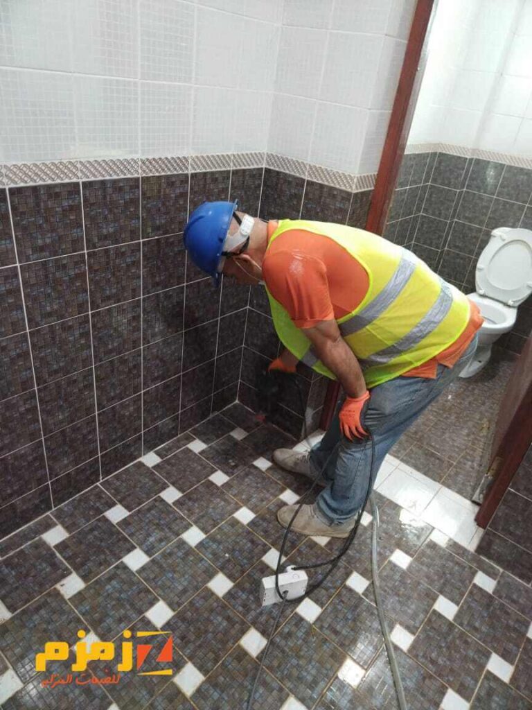 علاج النمل الأبيض في الجدار