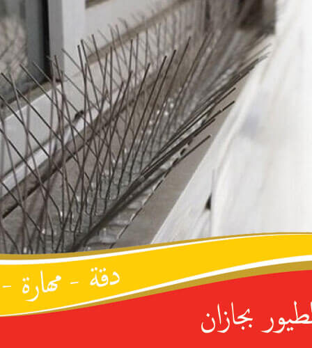 شركة طرد الطيور بجازان