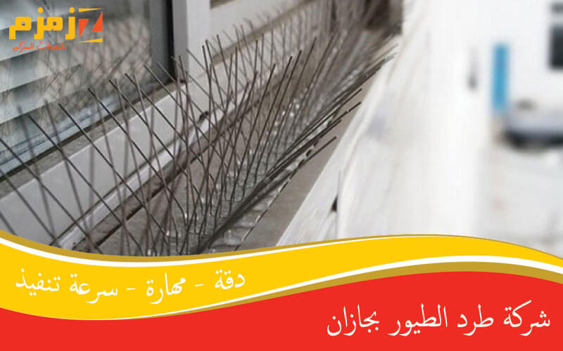 شركة طرد الطيور بجازان
