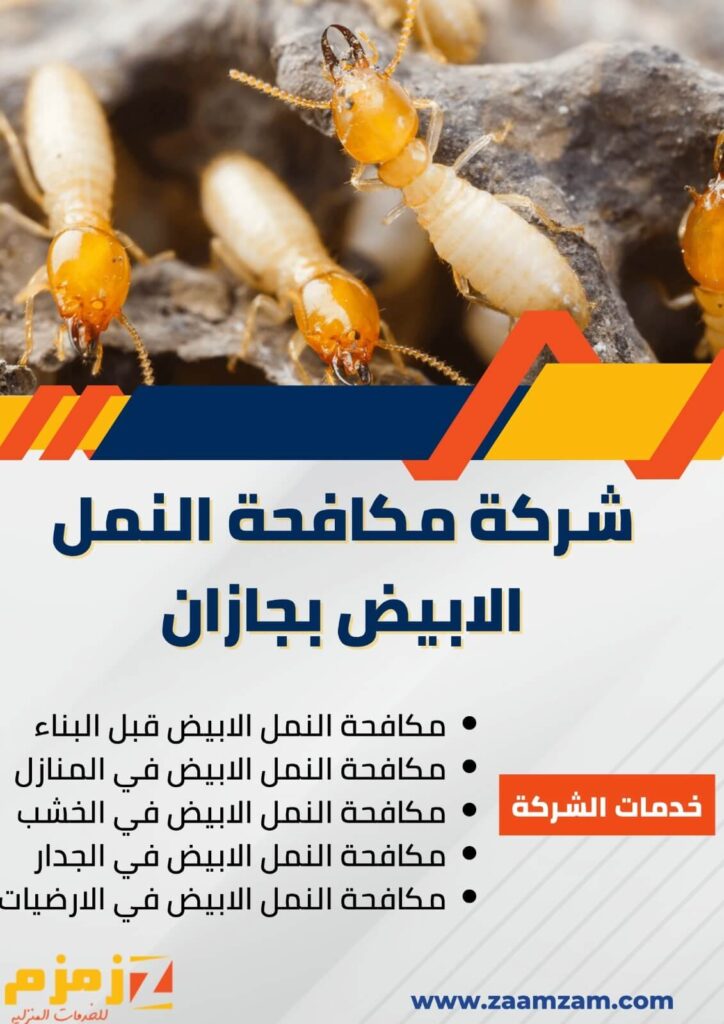 رش النمل الأبيض بجازان: دليل شامل لمكافحة النمل الأبيض